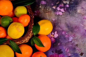 Various citrus on a background of violet fluffy fabric. Different citrus fruit