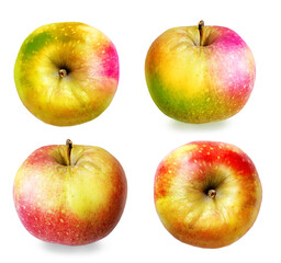 Color apples on white background