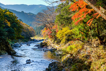 【東京都】御岳渓谷の渓流と紅葉
