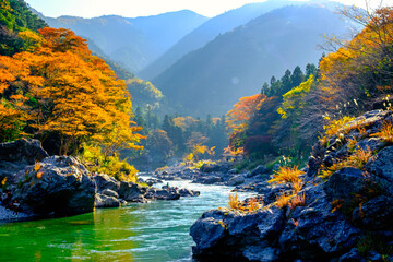 【東京都】御岳渓谷の渓流と紅葉 © travel