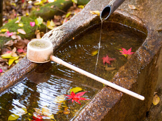 紅葉と手水場