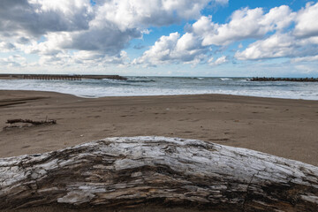 のどかな日の日本海の砂浜