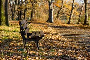Autumn, Park, green grass, yellow leaves, trees, shop.