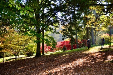 Sunny Autumn day in the park