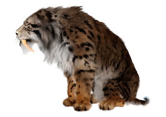 3D Rendering Sabertooth Tiger on White