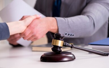 Lawyer discussing legal case with client