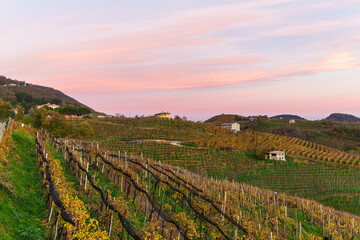 Fototapeta na wymiar The Prosecco Hills in Italy at sunset