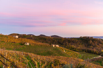 Naklejka premium The Prosecco Hills in Italy at sunset