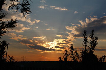 sunset over the field