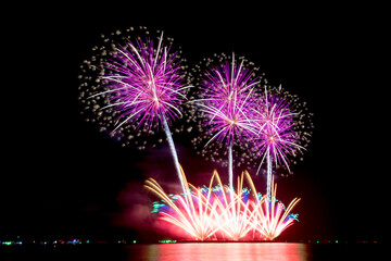 Fireworks light up the sky during the New Year festivities.