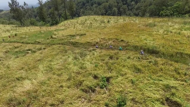 MTB riding on savanna around Mount Kawah Wurung