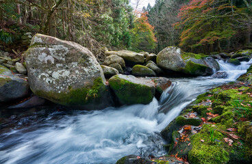 伊豆　滑沢渓谷の流れ