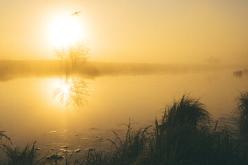 sunrise over the lake