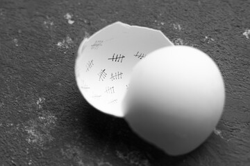 a chicken escaped from a white egg on a white background . on the inside of the egg there are day marksa chicken escaped from a white egg on a white background . on the inside of the egg there are day