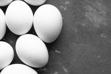 chicken eggs on a gray background
