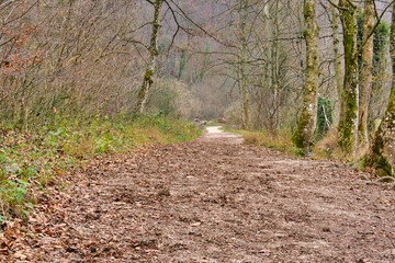 Der Weg ins Ungewissse