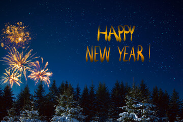Naklejka premium Colorful firework on night sky.New Year background.
