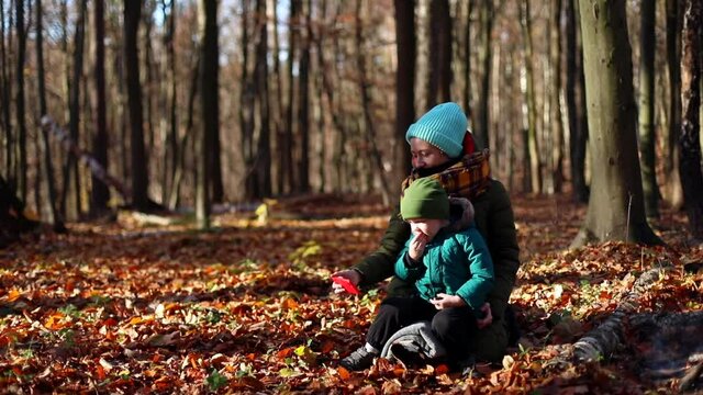 Young happy mother with little excited boy using smartphone resting in autumn forest enjoying nature beauty on sunny day. Blogging motherhood. Video call. Kids selfie. True feelings.