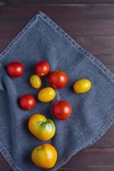 autumn harvest concept. colorful yellow and red ripe tomatoes on a blue kitchen towel. old dark wood background. top view, flat lay