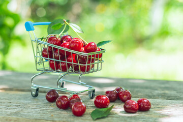 Fresh ripe cherries in a shopping trolley on wooden background
