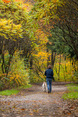 Dog and a young man owner have fun in the park. Concept of friendship, pets, togetherness. High quality photo. View from the back.