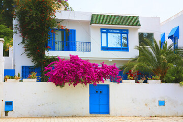 houses in island country Tunisia