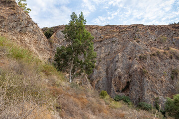 Hills overgrown  with greenery near the HaTanur waterfall, which is located in the continuation of the rapid, shallow, cold mountain Ayun river in the Galilee in northern Israel