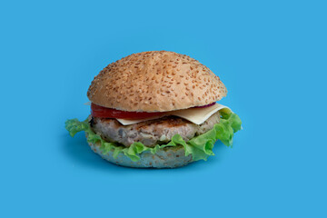 Fresh tasty burger isolated on blue background