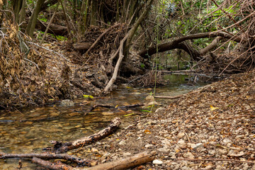 The swift,  shallow, cold mountain Ayun river in the Galilee in northern Israel