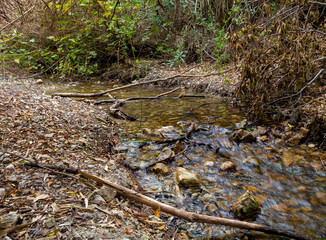 The swift,  shallow, cold mountain Ayun river in the Galilee in northern Israel