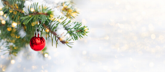 Red Christmas ball hangs on a snow-covered branch of a Christmas tree against a background of white snow and golden bokeh lights with copy space. New Year, holiday card, banner