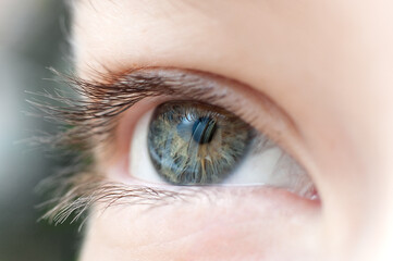  Human eye close up. macro photo