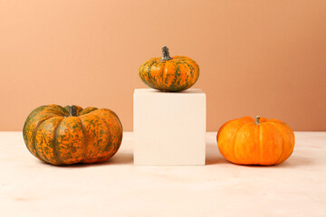 Different types of mini pumpkins on the geometrical podium.Concept of the leadership and uniqueness.Can be used as mockup with copy space.Natural tones.