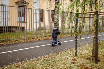 Little boy riding a kick scooter on bicycle track in park. Autumn in city