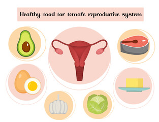 Healthy food for female reproductive system infographics. Prevention of diseases of the uterus and ovaries, hormonal imbalance. Medicine concept. Vector illustration