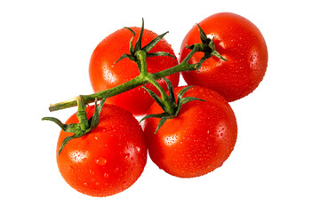 Branch of red fresh  tomatoes isolated on white background