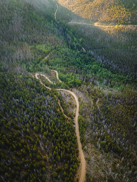 Aerial view of winding road through forest in Colorado, USA.