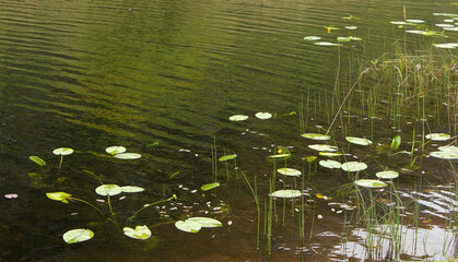 au bord du lac
