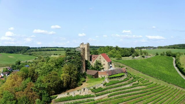 Drone shot of Neipperg Castle with vineyards, Germany