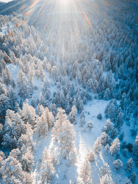Aerial view of snow forests close to Denver, Colorado, USA.