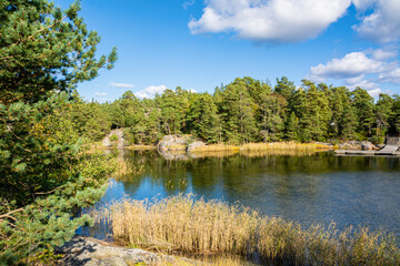 Fototapeta na wymiar Beautiful view of Porkkalanniemi in late summer, rocks, trees, water and grass, Kirkkonummi, Finland