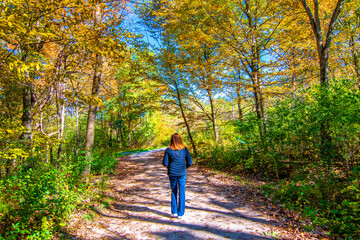 Delnor Woods Park view with autumn colours in Illinois