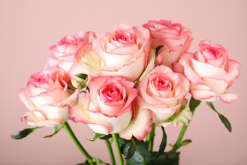 Bouquet of beautiful roses on pink background, closeup