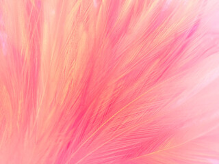 Beautiful abstract light pink feathers on white background,  white feather frame texture on pink pattern and pink background, love theme wallpaper and valentines day