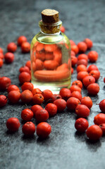 Rowan berries natural oil bio organic eco