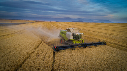 Wide angle view of a combine harvester harvesting wheat on a wheat field on a farm in the Swartland...