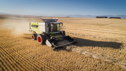 Wide angle view of a combine harvester harvesting wheat on a wheat field on a farm in the Swartland in the Western Cape of South Africa
