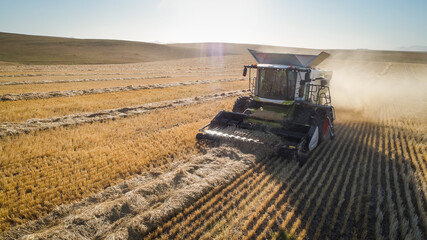 Wide angle view of a combine harvester harvesting wheat on a wheat field on a farm in the Swartland...