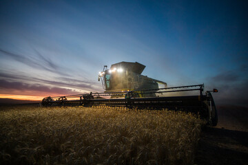 Wide angle view of a combine harvester harvesting wheat on a wheat field on a farm in the Swartland...