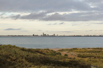 beautical landscape at the dutch coast in zeeland, the netherlands in winter with sand dunes with beach grass in front and the skyline of flushing behind the westerschelde sea at a clear day in winter